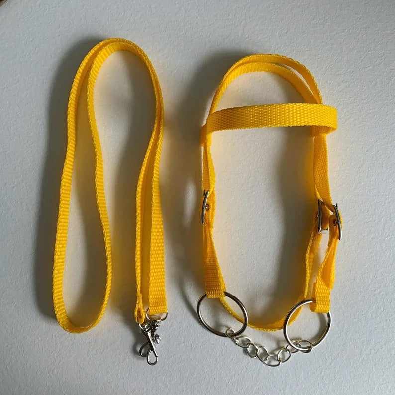 Halter for Horse - Yellow