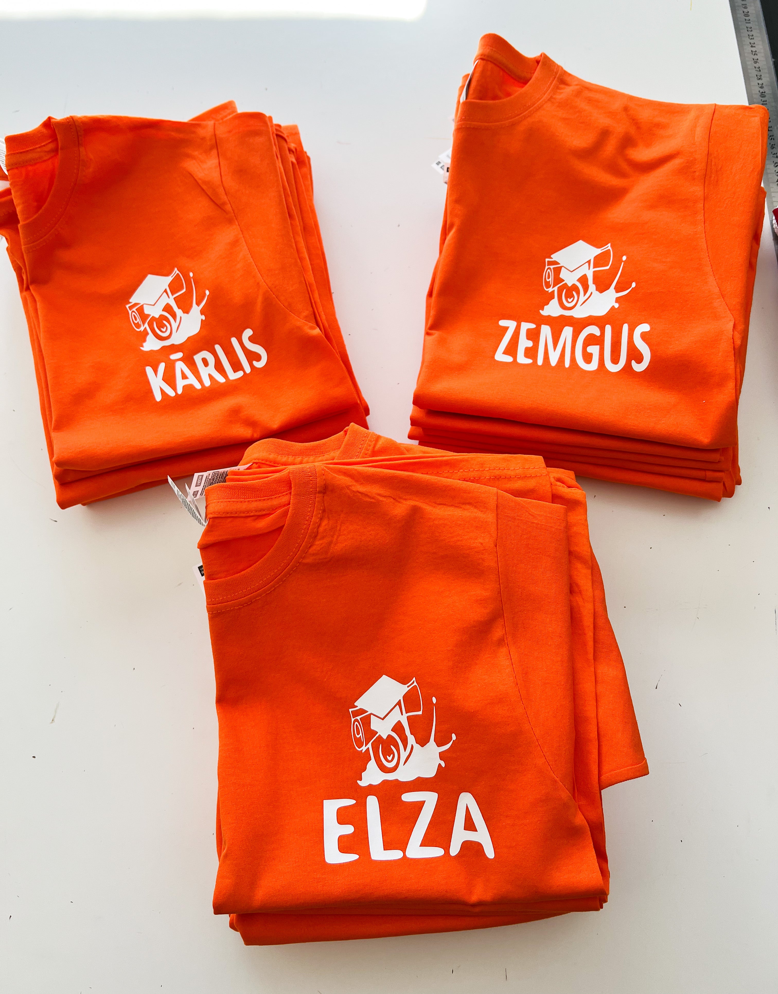 T-Krekls ar apdruku "VAIRUMS"